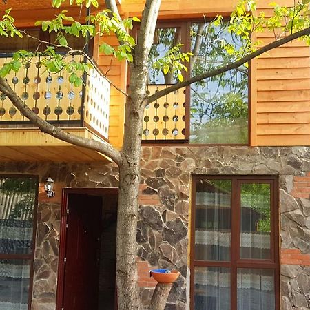 Levani'S Cottage Боржомі Екстер'єр фото